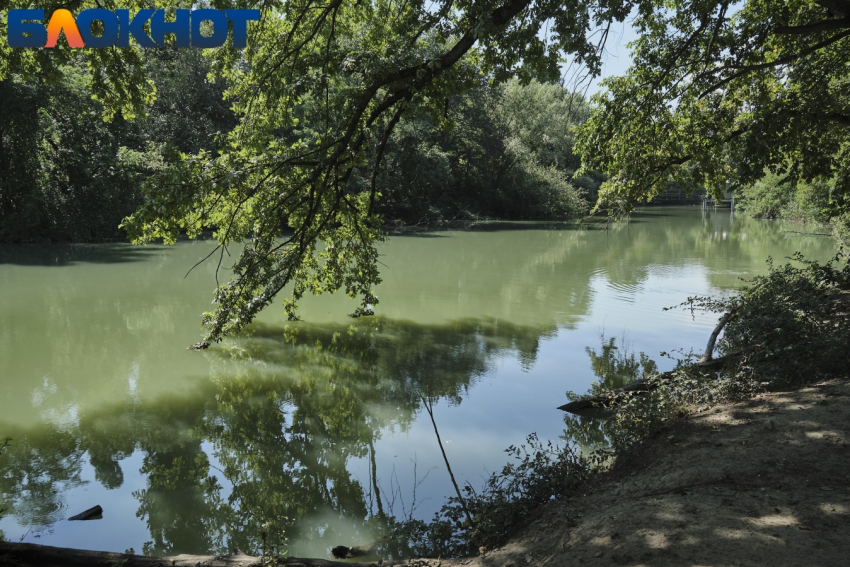 Дымчатые горы, кристальная вода и девственная красота: 5 живописных озер Краснодарского края