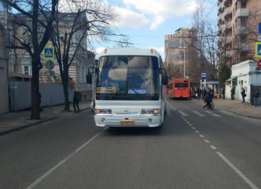Сбитая автобусом девочка в Краснодаре получила травмы черепа