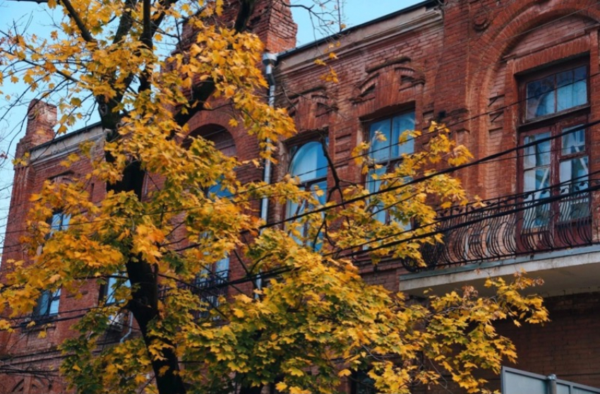 В Краснодаре наступила настоящая осень: город погрузился в красочные листья и прохладный воздух