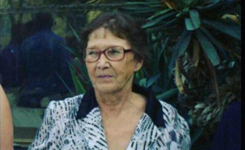 В Геленджике уже шесть дней ищут пропавшую в лесу 68-летнюю женщину 