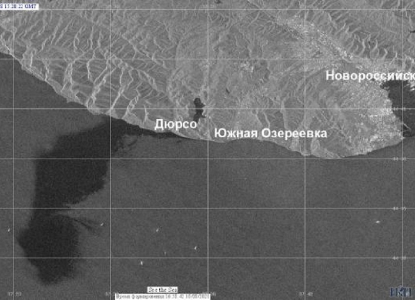 Разлив нефти в порту Новороссийска оказался в 400 тысяч раз больше заявленного