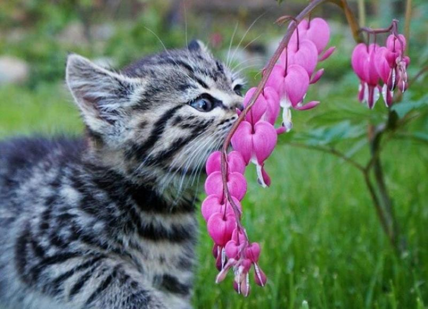 Жарко и ветрено будет на Кубани в начале новой рабочей недели