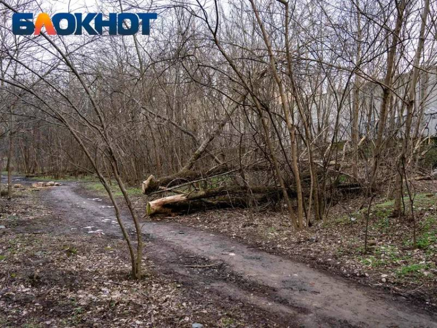 О начале пожароопасного периода предупредили жителей Кубани