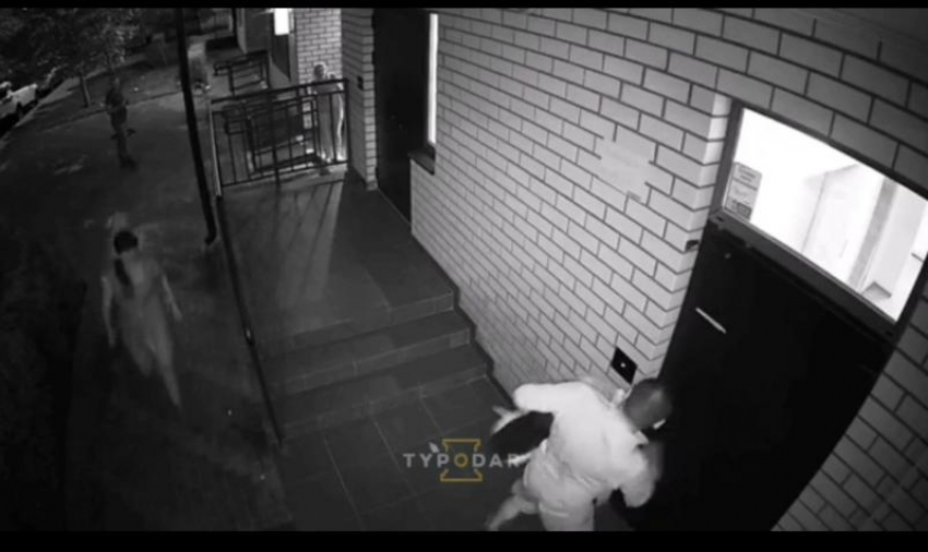 Полиция Краснодара проверит жестокое обращение мужчины с его собакой