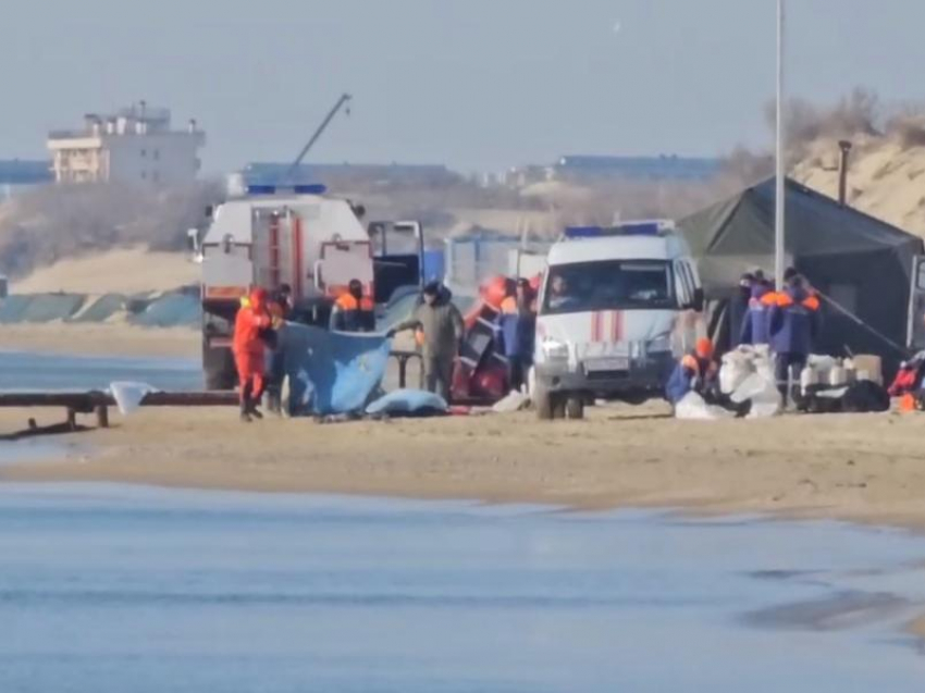 В Анапе погиб водолаз во время очистки дна от мазута: что известно  