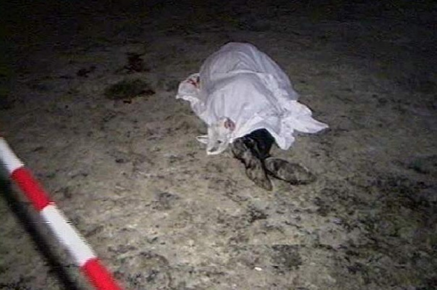 Под Усть-Лабинском водитель КамАЗа не заметил парня и сбил его насмерть