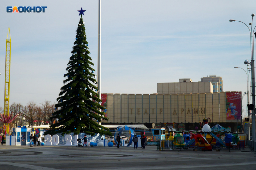 Пьяную девушку за попытку сфотографироваться с главной елкой Краснодара задержала полиция 