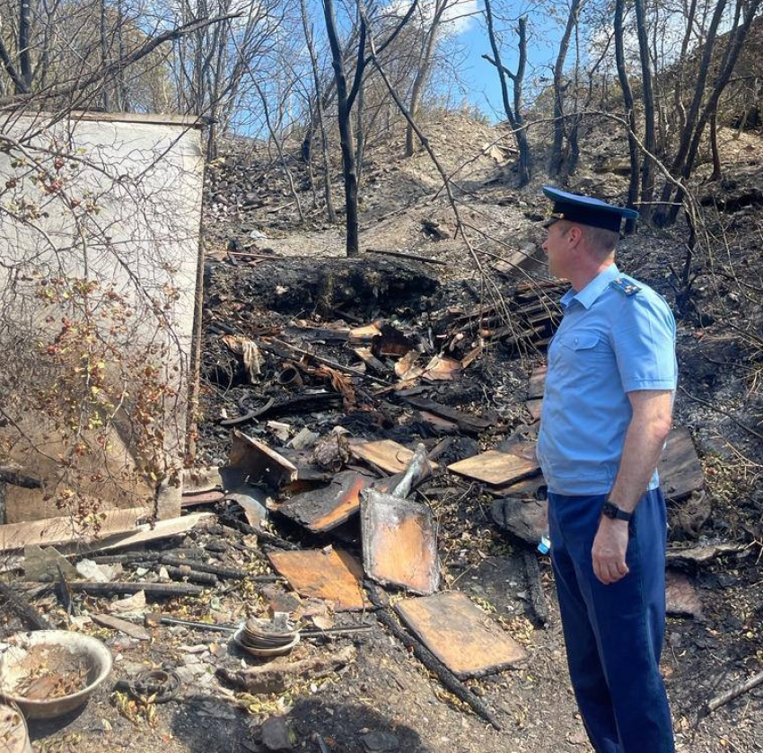 На жителя Геленджика завели уголовное дело за крупномасштабный лесной пожар