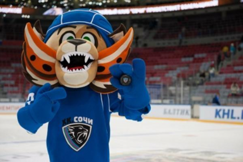 Сочинские «леопарды» заключили контракт с вратарём Шикиным