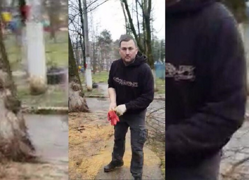 В Краснодаре арестовали побившего пенсионерку во время опилки деревьев рабочего