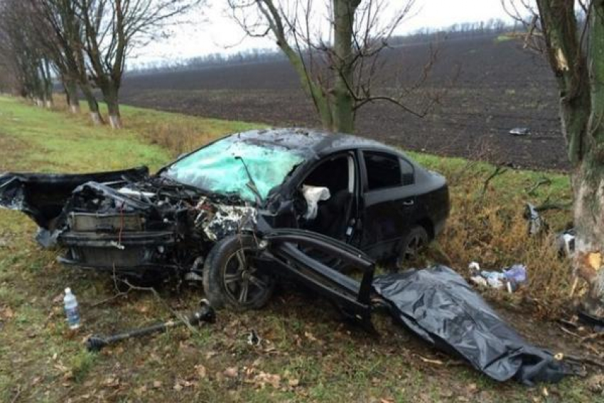 ДТП на Кубани: «Фольксваген» на скорости врезался в дерево, погибла пассажирка