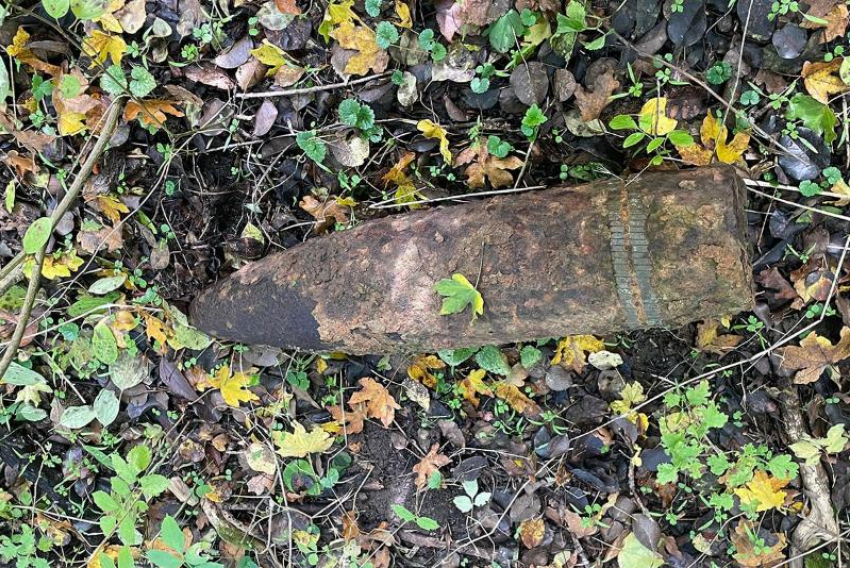 Грибники нашли несколько мин и снарядов в лесах Кубани 