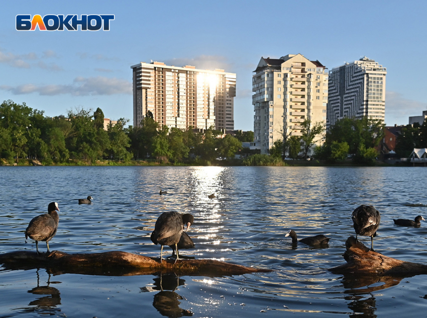 Солнце обогреет краснодарцев в пятницу