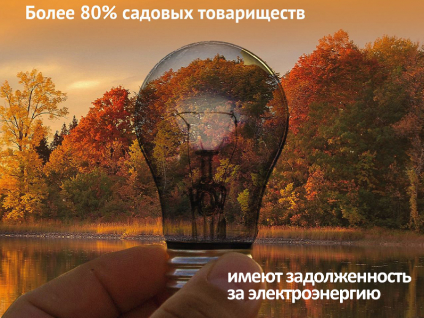 Более 80% садовых товариществ Краснодарского края и Адыгеи имеют задолженность за электроэнергию