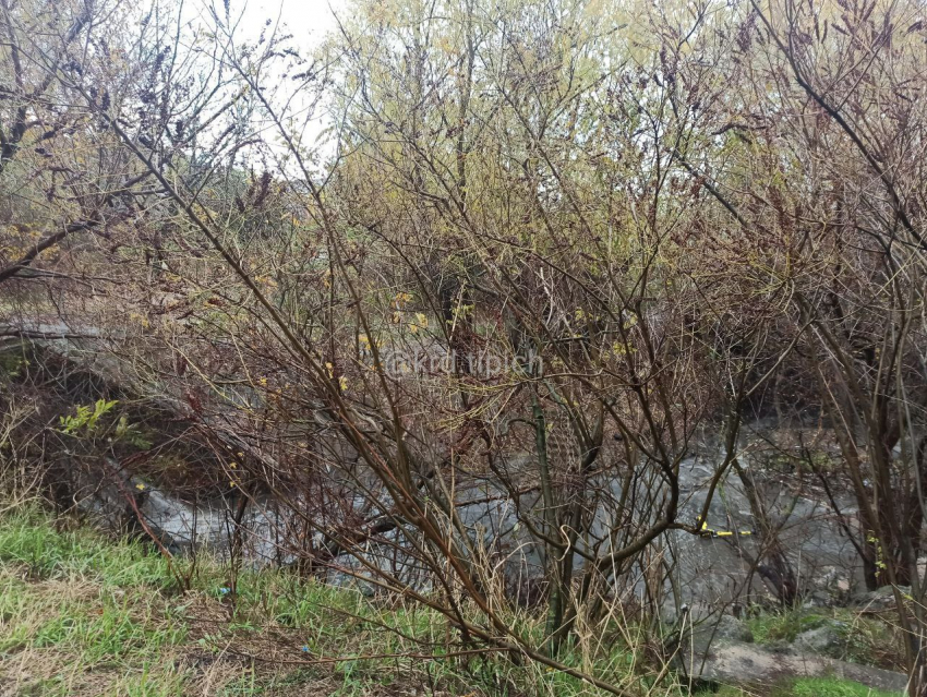 В Краснодаре на ЮМР в реке утопили электросамокат