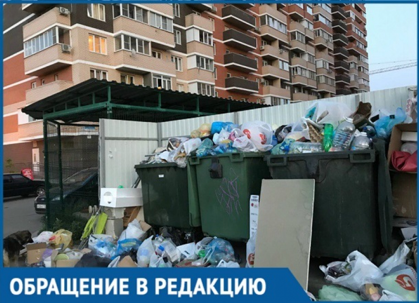 Утонули в мусоре два жилых комплекса Краснодара: «Грязный вопрос» не решается годами