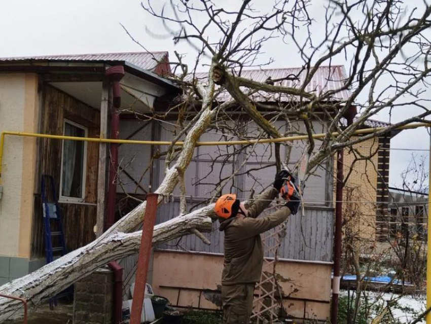 Штормовой ветер отрывает светофоры и валит деревья в Краснодарском крае