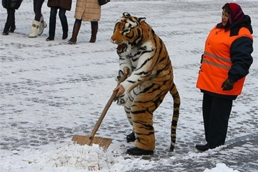 Краснодар готовится к ночному ухудшению погоды 