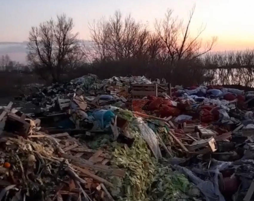 «Разнесется на огромные расстояния»: на берегу Кубани устроили незаконную свалку