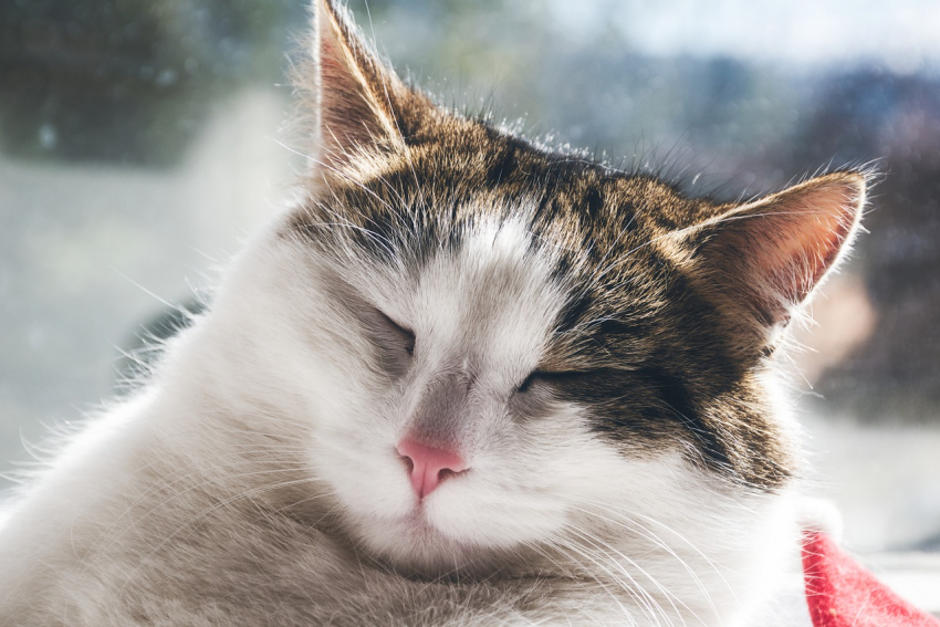 Последнее воскресенье июня обещает быть жарким