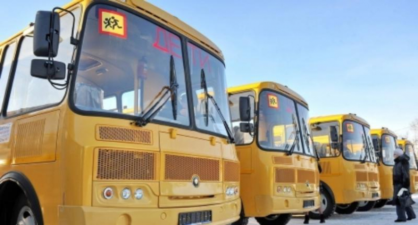 50 новеньких автобусов для детей закупает администрация Краснодара