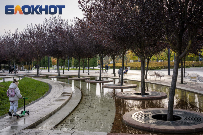 Важное в Краснодаре 5 апреля: вспоминаем о нравственности, поздравляем неонатологов, зазываем деньги