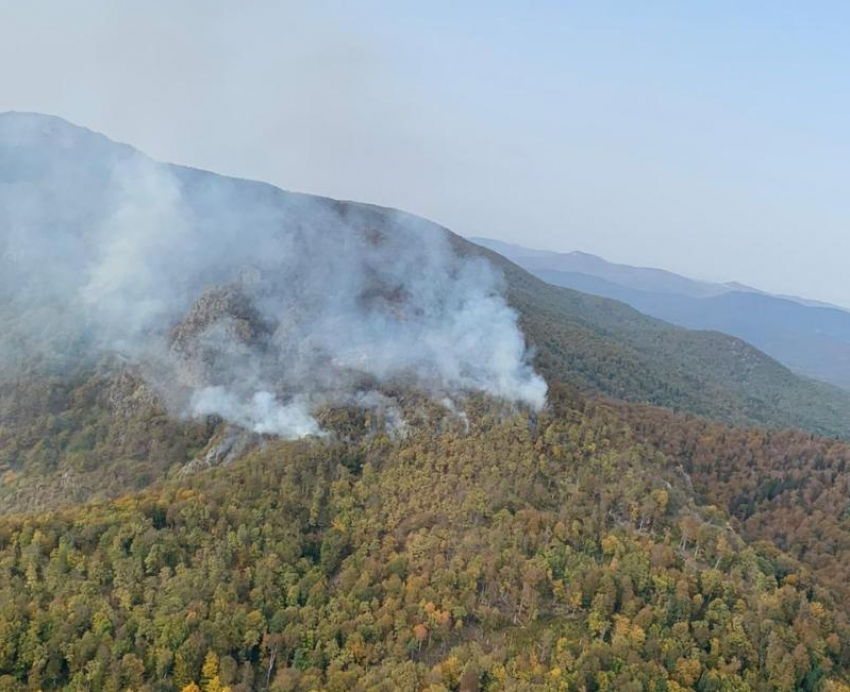 На Кубани тушат лесной пожар на площади более 17 гектаров 