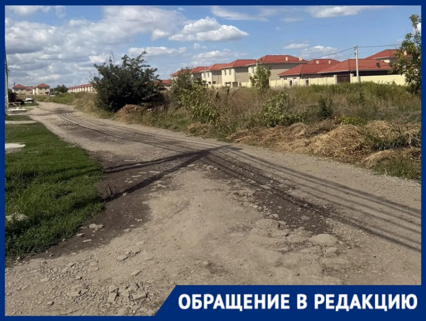 «Вынуждены ходить по полю с бездомными собаками»: в Динском районе детей лишили школьного автобуса