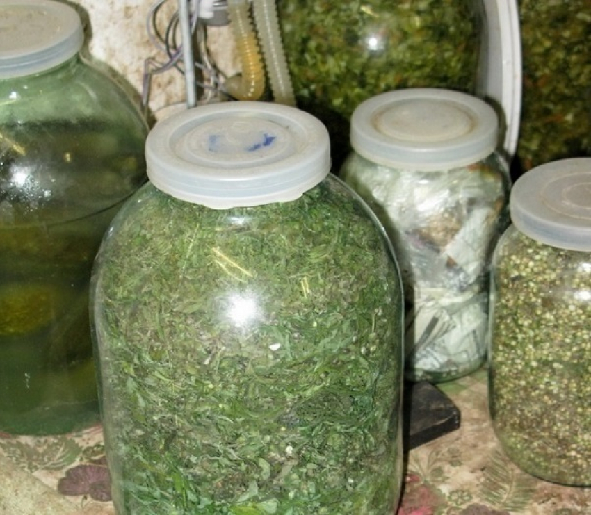 На Кубани 55-летний наркоман пытался спрятать около пяти килограммов марихуаны