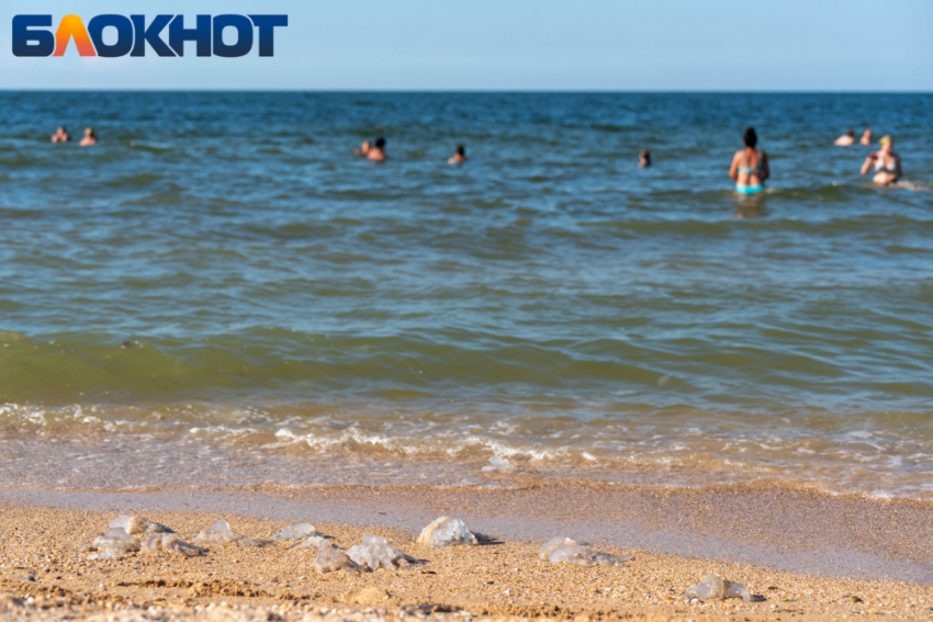 «Рвало пять часов подряд»: туристы разочарованы отдыхом на Чёрном море в бархатный сезон 