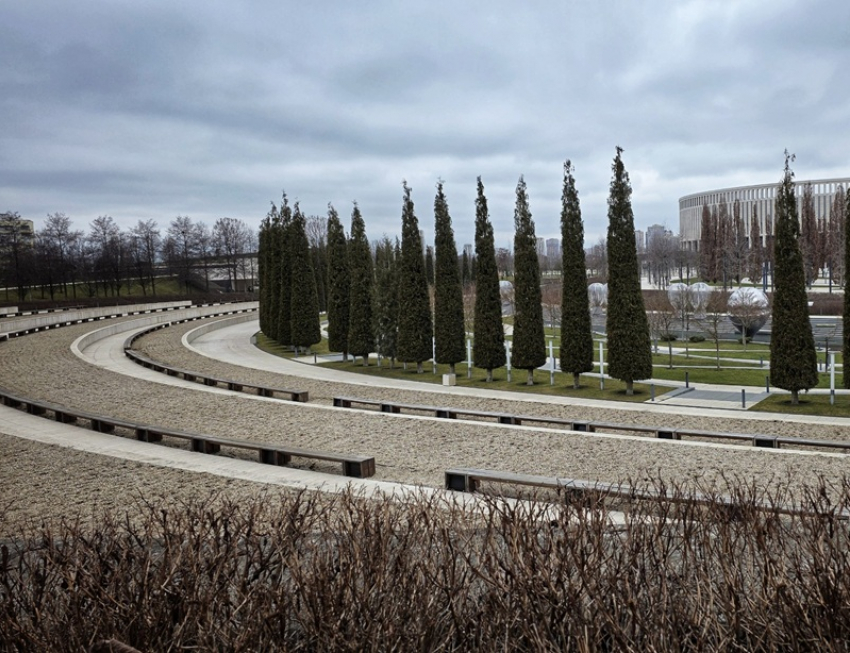 Электрический шалфей пропал из парка Галицкого в Краснодаре