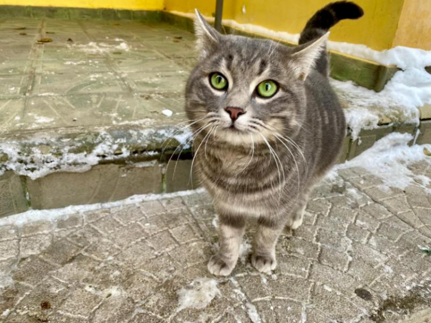 В последнее воскресенье этого года в Краснодаре будет по-весеннему тепло