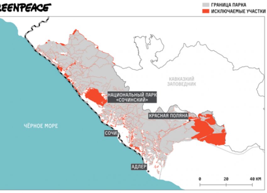 На похищенные в нацпарке Сочи 11 тысяч участков наложили арест