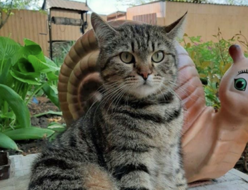 Очередная порция дождей выльется на Краснодарский край