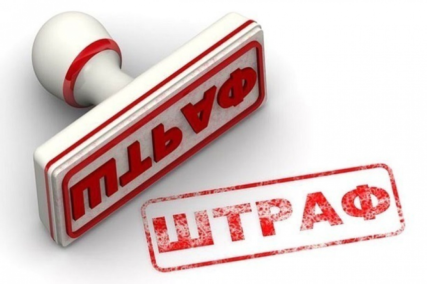 Краснодарского педиатра с психрасстройством, напавшую на щенка, оштрафовали