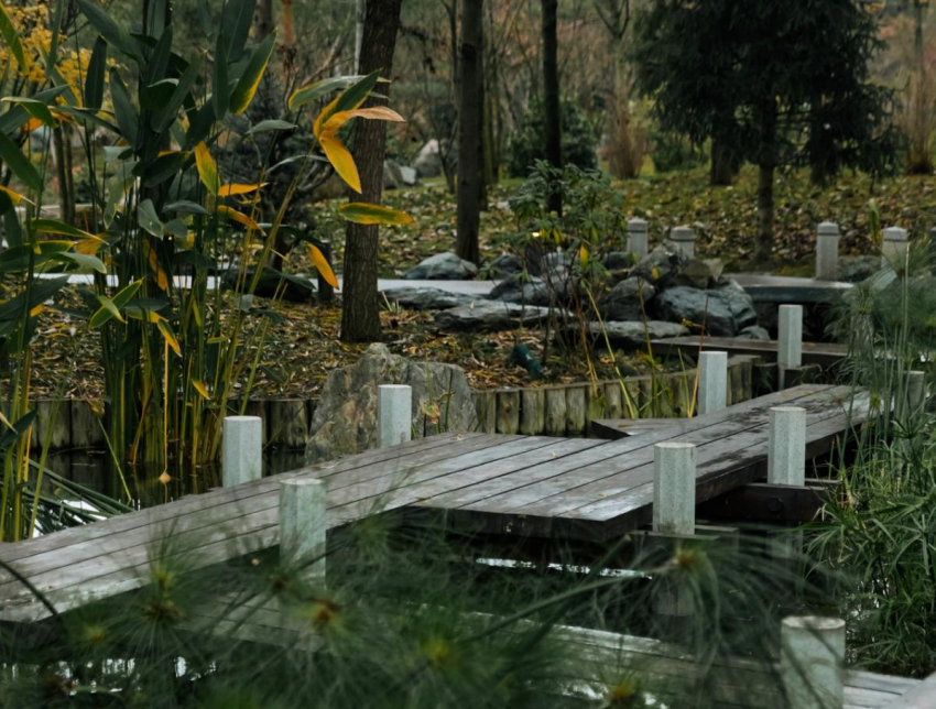 Резкий скачок температуры ожидается в Краснодаре