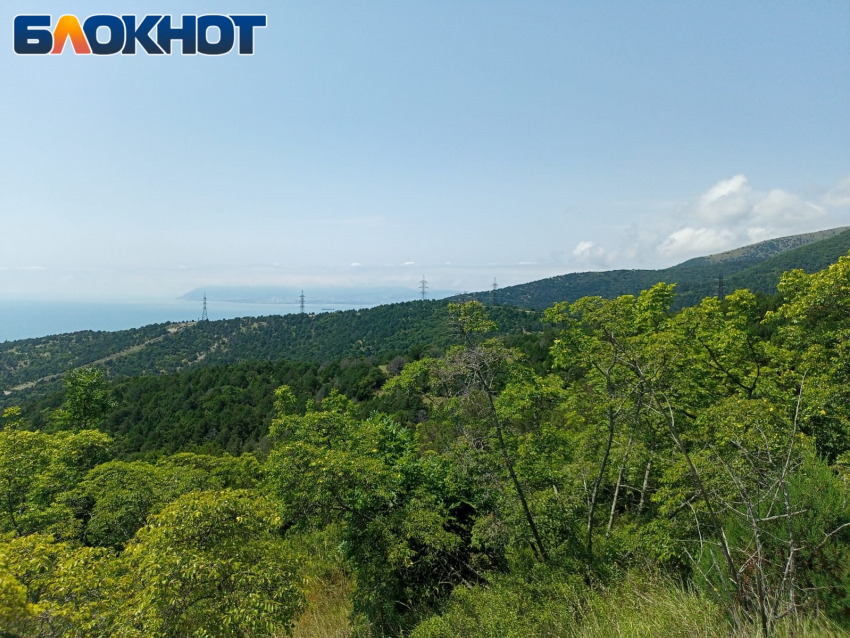 От грязевых вулканов до экстрима: как активно отдохнуть туристам в Краснодарском крае