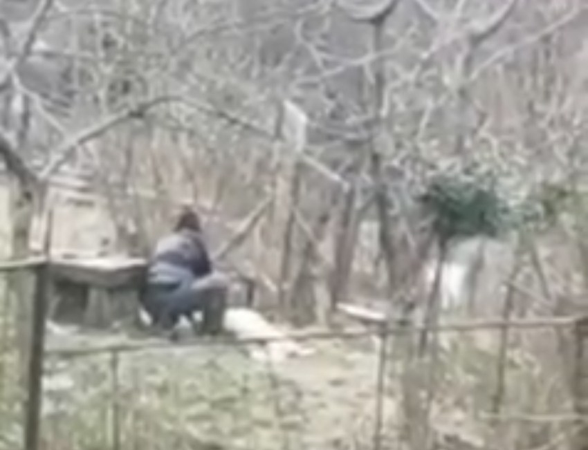Жестокий живодер, убивший собственную собаку в Сочи, попал на видео