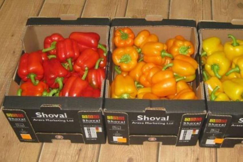 На Кубань не пустили 24 тонны зараженного перца из Израиля 