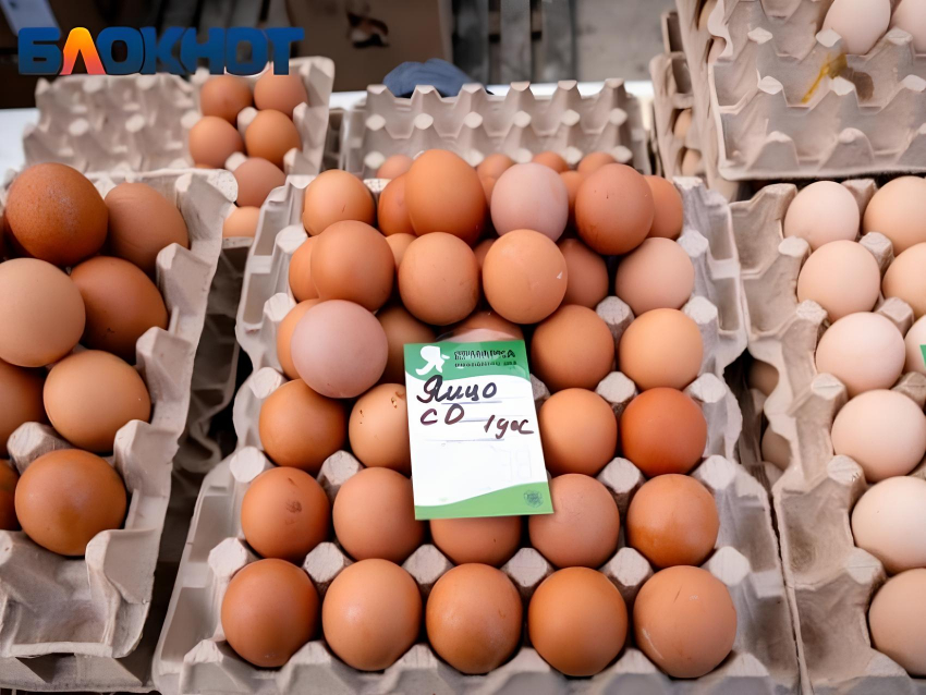 Яйца и детское питание возглавили список подорожавших продуктов в Краснодаре