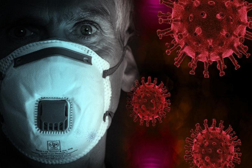 Как обстоит ситуация с коронавирусом на Кубани на 15 мая