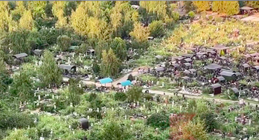 «Пища богов» разрослась на Славянском кладбище Краснодара 