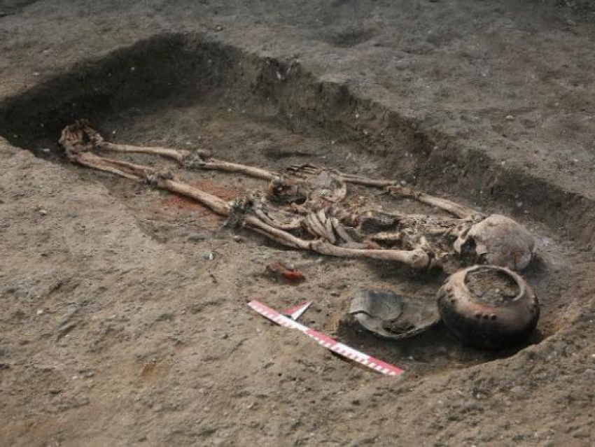 Захоронение тысячелетней давности нашли под Армавиром