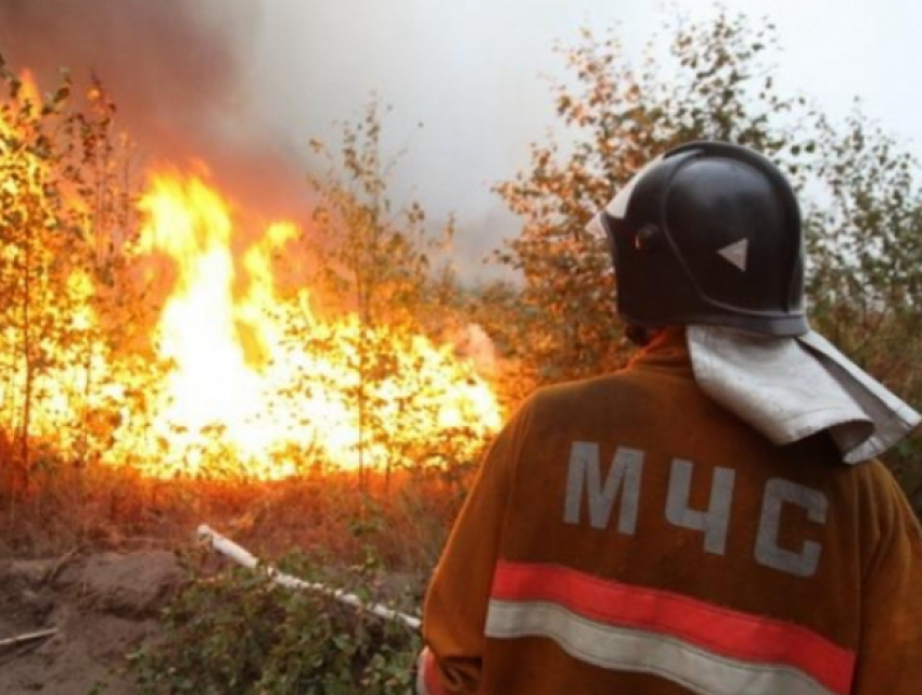 В Краснодаре предупредили о пожароопасности, ожидаются засушливые дни