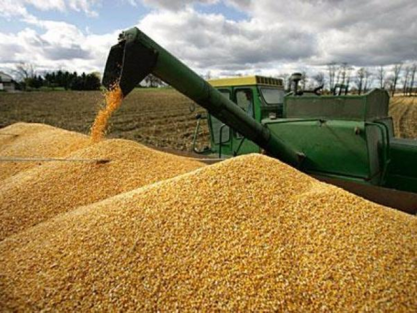 Более 76 тысяч тонн зерна отправили на экспорт за прошедшие выходные