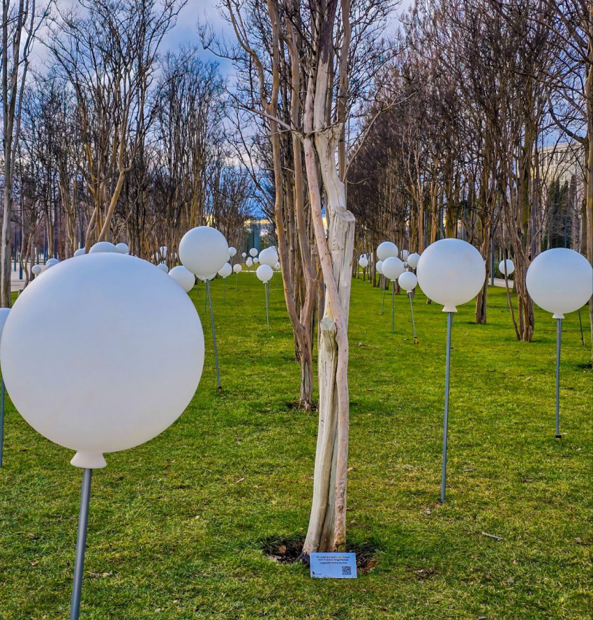 В парке Галицкого установили таблички с названиями растений и QR-кодами