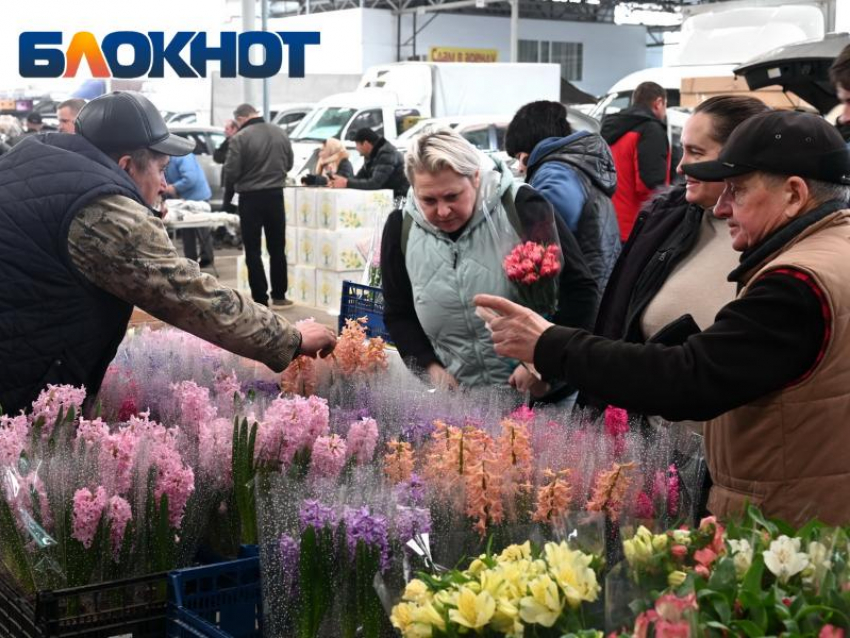 Возле цветочного рынка в Краснодаре собрались пробки