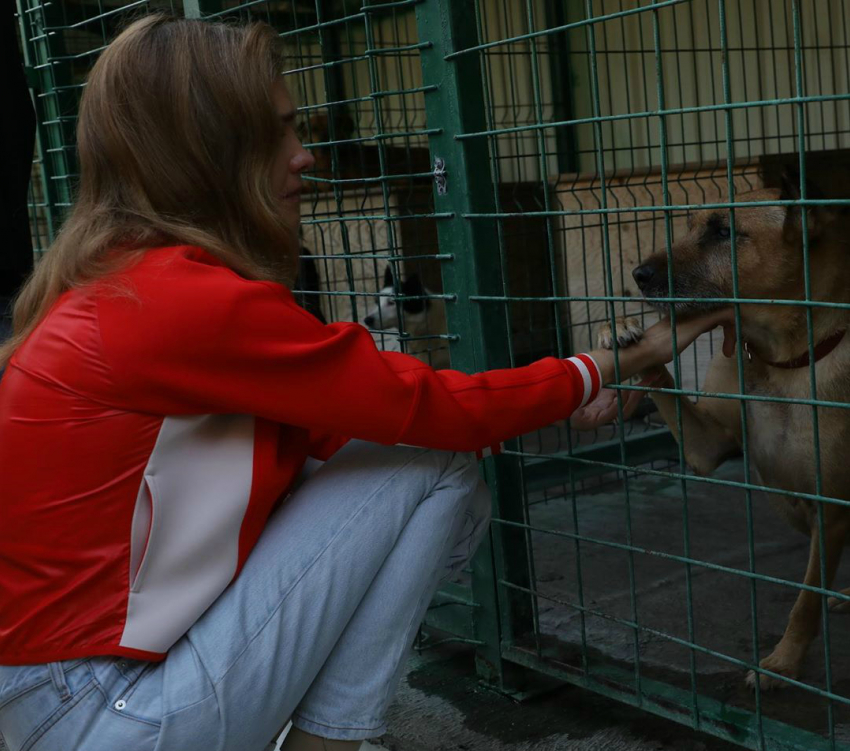 Модель Наталья Водянова ищет хозяев для бездомного слепого пса из Сочи