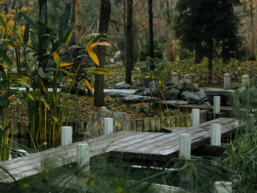 До +3 градусов опустятся столбики термометров в Краснодаре