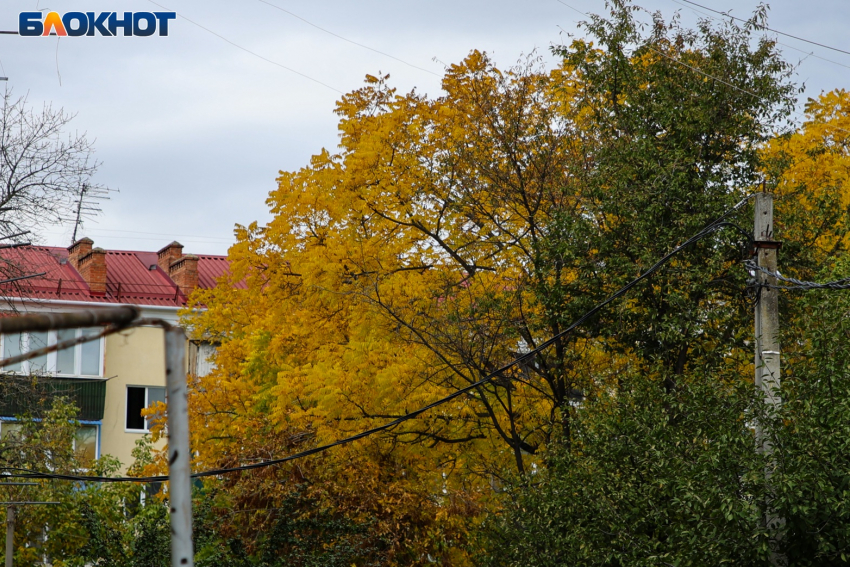 В Краснодаре на 8 часов обесточат десятки улиц